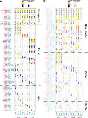 Single-Cell Transcriptomics Identifies Heterogeneity of Mouse Mammary Gland Fibroblasts With Distinct Functions, Estrogen Responses, Differentiation Processes, and Crosstalks With Epithelium